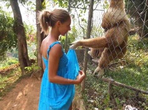 youporn zoo|Longest animal porn videos and full.